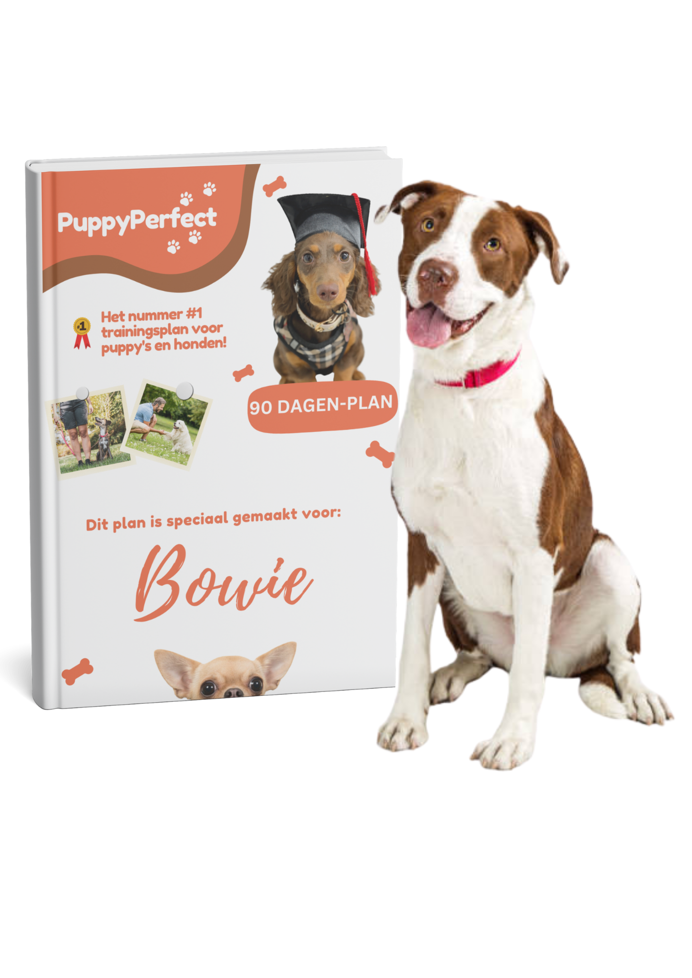 Gepersonaliseerd trainingsplan 90 dagen