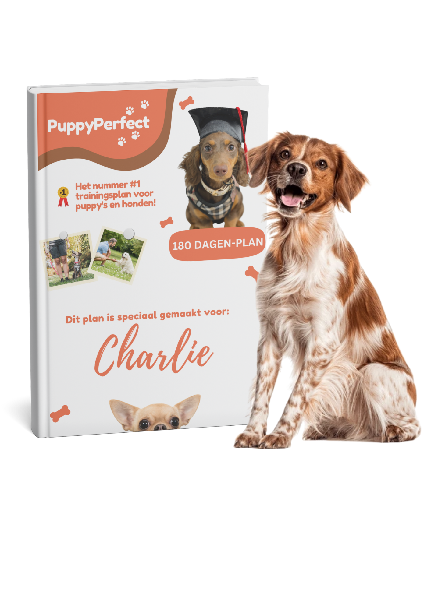 Gepersonaliseerd trainingsplan 180 dagen